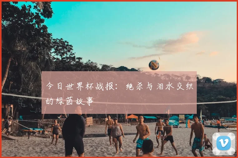 今日世界杯战报：绝杀与泪水交织的绿茵故事