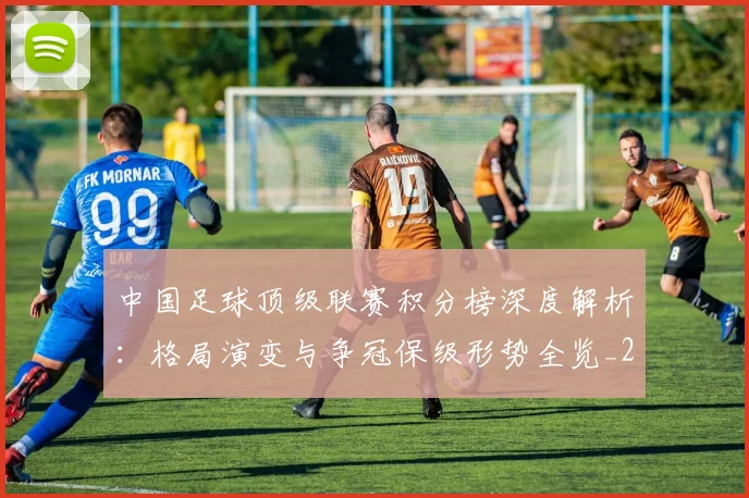 中国足球顶级联赛积分榜深度解析：格局演变与争冠保级形势全览_20260610190329