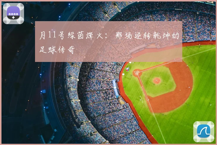 月11号绿茵烽火：那场逆转乾坤的足球传奇